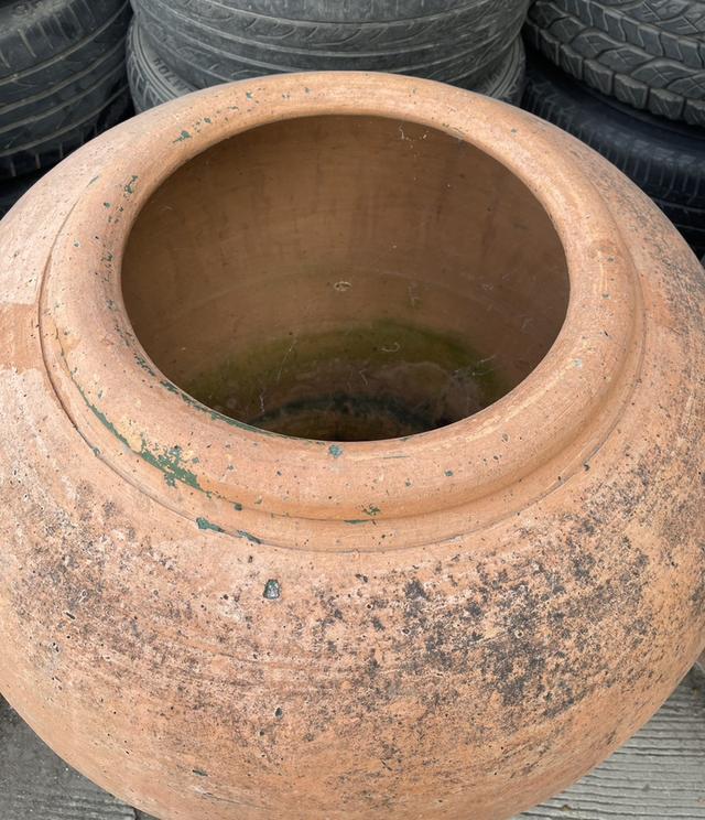 โอ่งแดง ใบใหญ่ ไซต์จัมโบ้ ขนาด70ซม โอ่งดินเผาอยุธยา 2