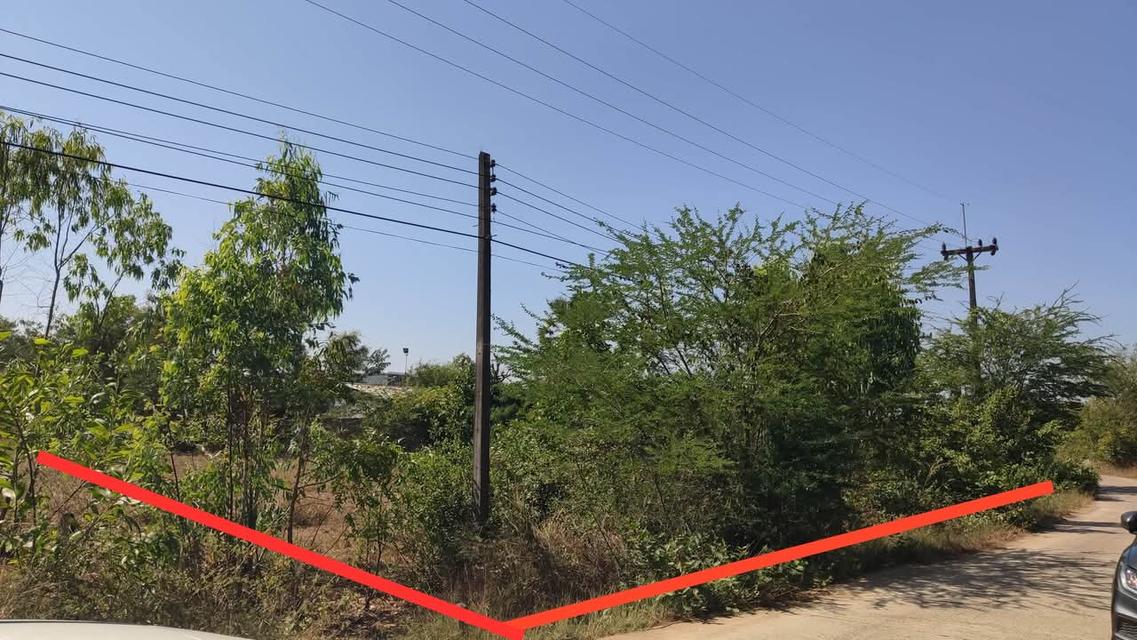 ที่ดิน อสังหาริมทรัพย์ 6