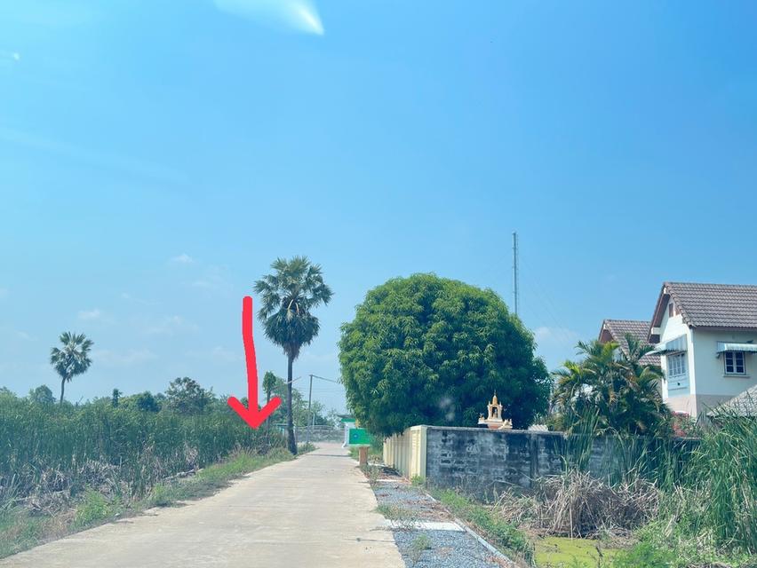 ขายที่ดิน 120 ตร.ว. ทำเลดี ราคาถูกกว่าท้องตลาด 3