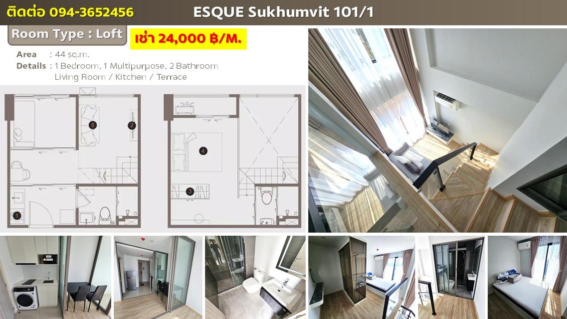 เช่าห้องที่คอนโด Esque Sukhumvit 101/1 5