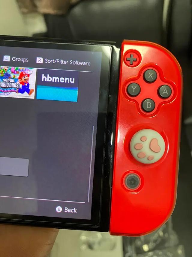 ปล่อยเครื่องเล่นเกม Nintendo Switch 4