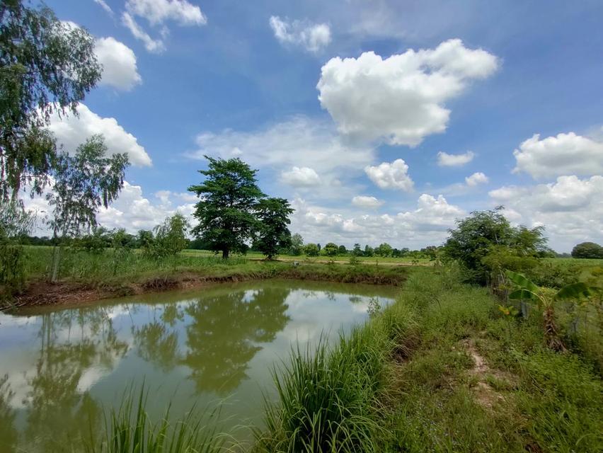 ขายที่ดินเขตอำเภอกระนวน 10 ไร่ 3 ตารางวา 10