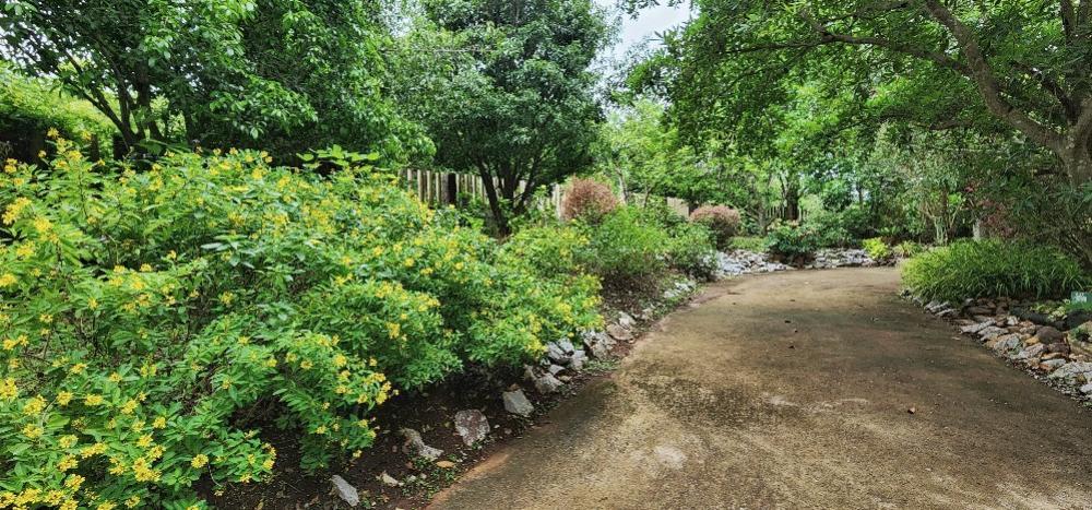 Villa khao yai for sale ขายบ้านพักตากอากาศเขาใหญ่ 3 ไร่ อยู่เส้นธนะรัชต์ ท่าช้างบ้านไร่ หมูสี บ้านสวยพร้อมสวนขนาดใหญ่ ใกล้อุทยานแห่งชาติเขาใหญ่ 17