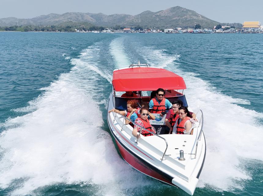 โปรแกรม SM115 ทัวร์ดำน้ำแสมสาร  One day trip ราคา 1,800 บาท รวมทุกอย่าง จาก กทม. 9
