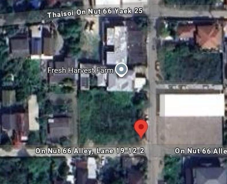 ขายที่ดินอ่อนนุช66(ประเวศ)ใกล้BTSอ่อนนุช 176 ตรว. ติดถนนทั้ง2 ฝั่ง ราคาดีเช็คราคาก่อนได้ ❤️ 7