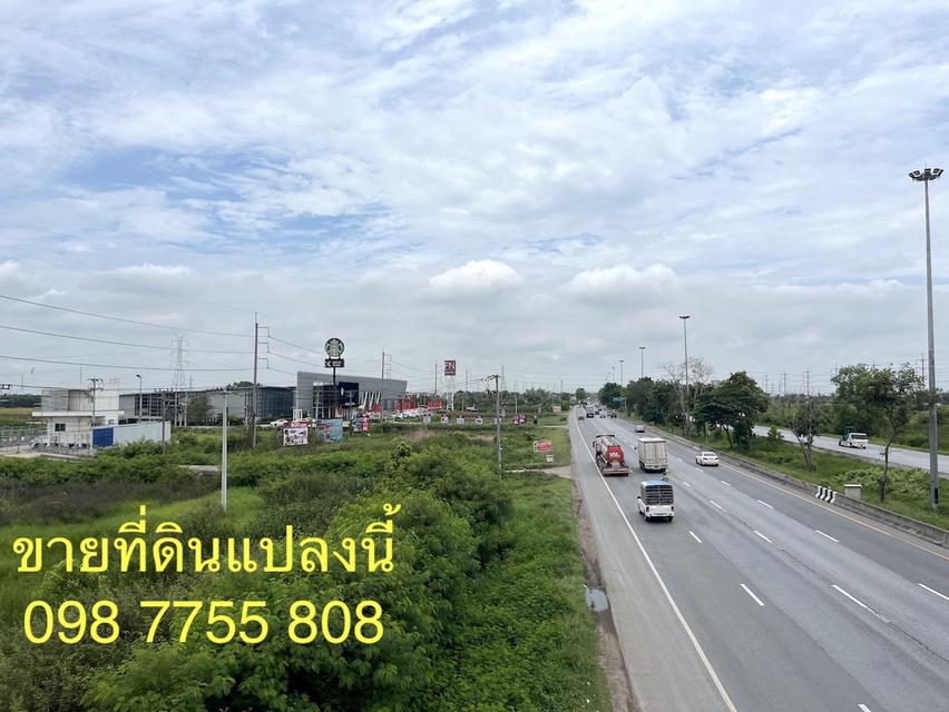 ขายที่ดินติดถนนสายเอเชีย ขาเข้ากรุงเทพ บางปะอิน อยุธยา 6