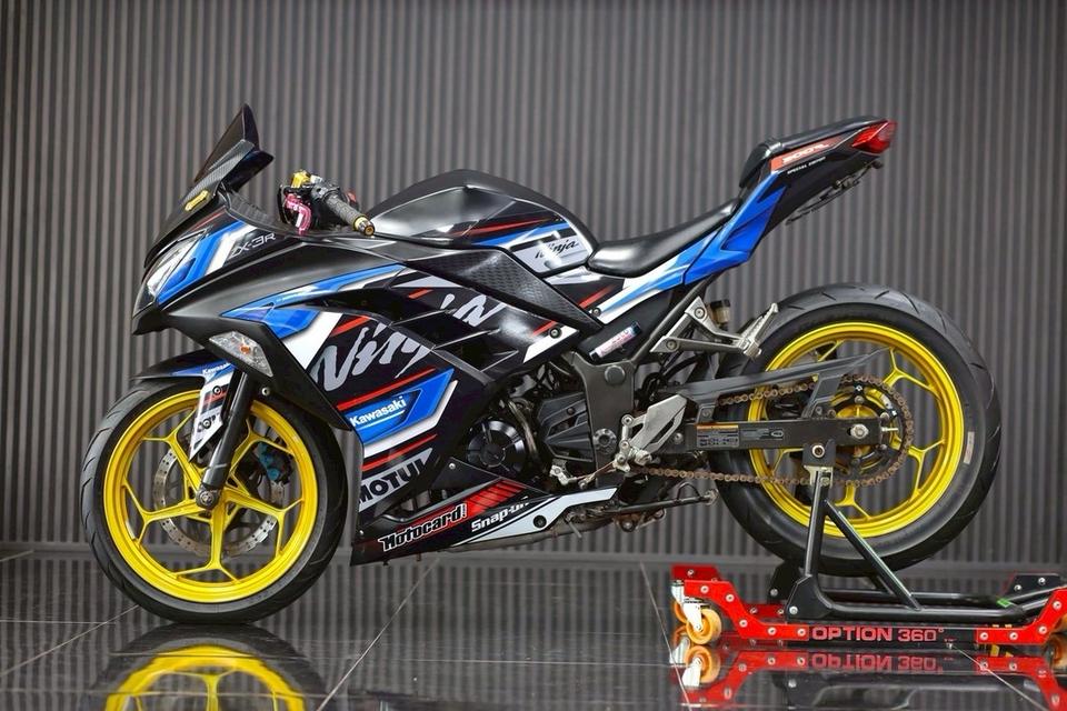 Ninja300 3