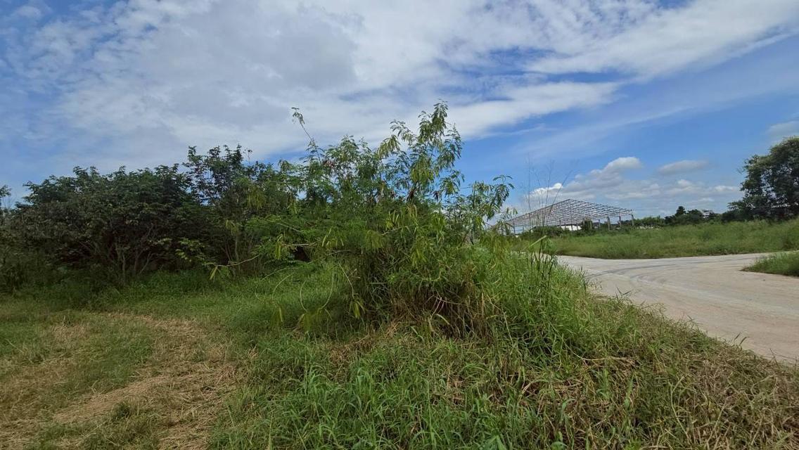 ขายที่ดิน บ้านบึง ชลบุรี 5 ไร่ 1 งาน 46 ตร.ว. ทำเลดี เหมาะลงทุน 2