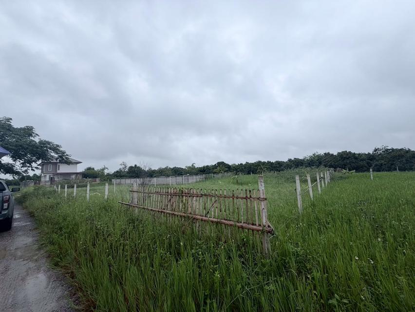 ที่ดินเปล่า ต.หนองแก๋ว อ.หางดง 6