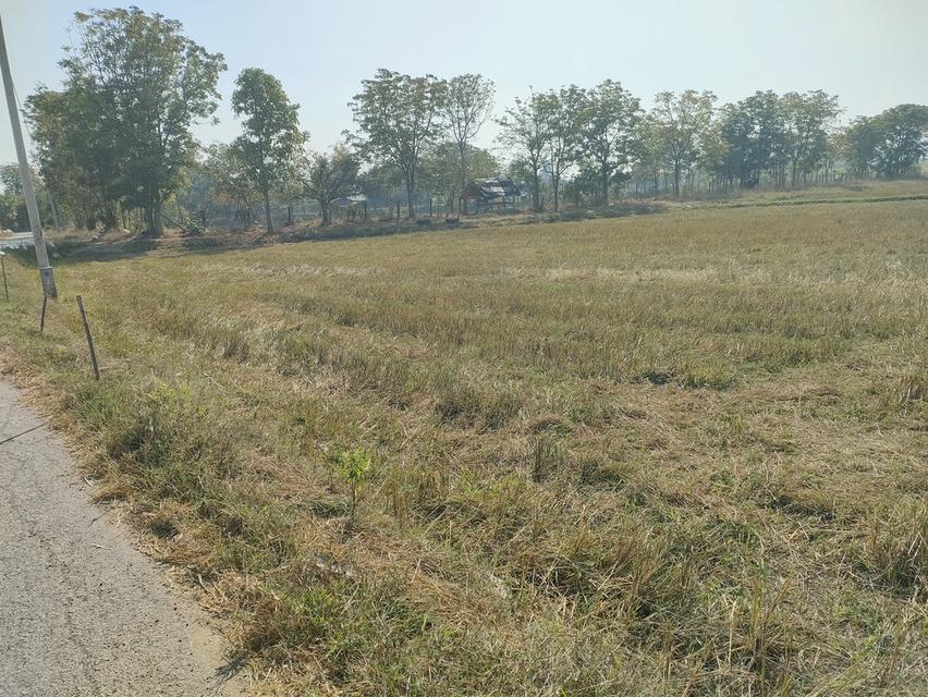 ขายที่ดินเกษตรด่วนจำนวน 6 ไร่ 3 งาน 84 ตารางวาน้ำไฟเข้าถึงอยู่ในเขตชุมชนหมู่บ้าน 8