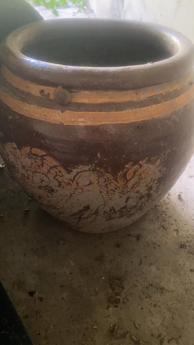 โอ่งมังกรเก่าหลาบใบราคากันเอง รูปที่ 7