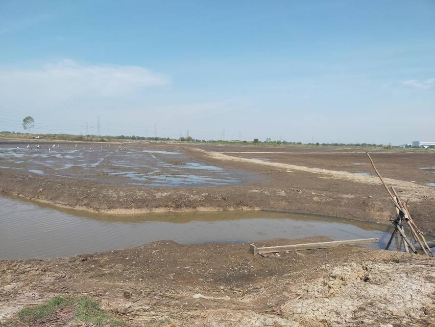 ต้องการขายที่ดิน ใกล้ทางด่วนบางปะอิน-โคราช  บางปะอิน  33 ไร่ 2 งาน 2 ตรว 11