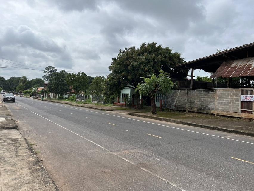 ขายที่โกดังติดถนนหลังเส้นโรงพยาบาลสมเด็จพยุพระราชเลิงนกทา หน้ากว้างติดถนน 32ม.ลึก43 ม.เนื้อที่ทั้งหมด3.617 งาน ห่างโรงพยาบาล 300 เมตร  เขต ทต.เลิงนกทา 8