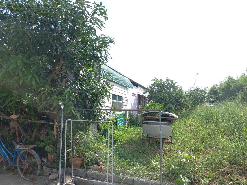 รูป บ้านและที่ดิน 4