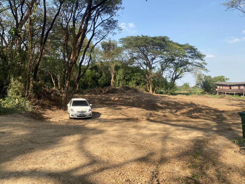 ที่ดินผืนงามริมแม่น้ำเจ้าพระยา – อัญมณีแห่งบางปะอิน 11