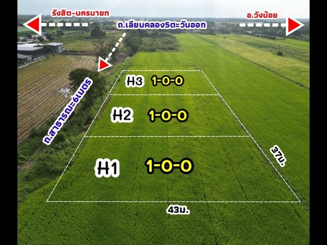 ขายที่ดินเปล่า ซ.คลองห้าตะวันออก(ศาลเจ้าแม่) ต.คลองห้า อ.คลองหลวง จ.ปทุมธานี เนื้อที่ 3 ไร่ ที่ดินดี มีอนาคต 6