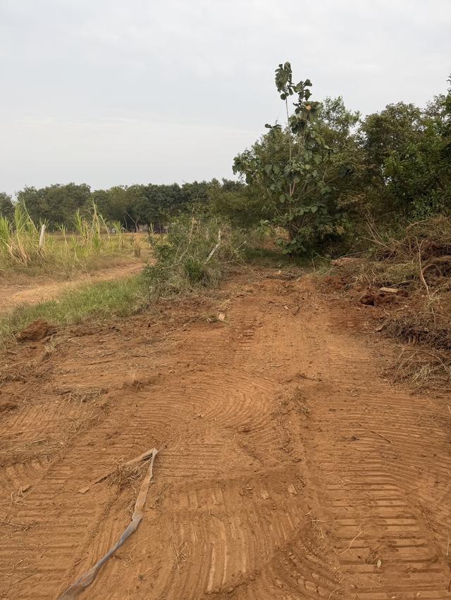 ที่ดินประจวบคีรีขันธ์ (วิวภูเขา) 5