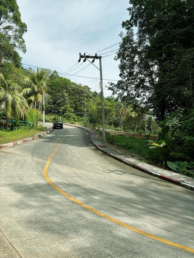 ขายที่ดินซีวิวหาดป่าตอง รูปที่ 9