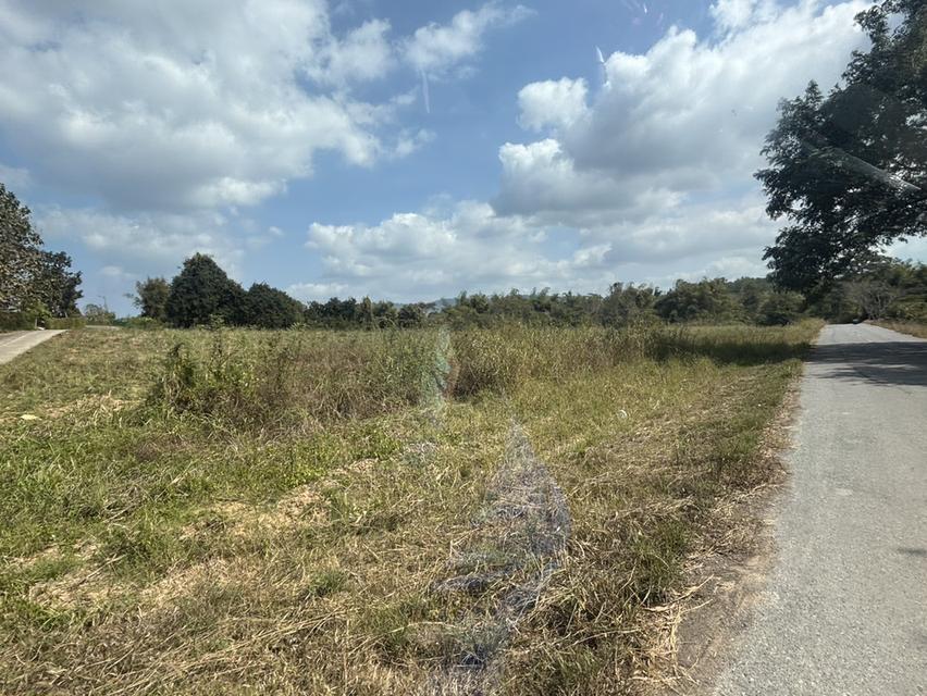 ที่ดินเปล่า ด้านหลังอำเภอ วังน้ำเขียว แบ่งขาย ได้ 7