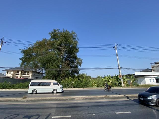 ขายที่ดินติดถนน4เลนด้านหลังติดคลองนราภิรมย์399.7 ตร.ว.ย่านนครปฐมศาลายาพุทธมณฑล 2