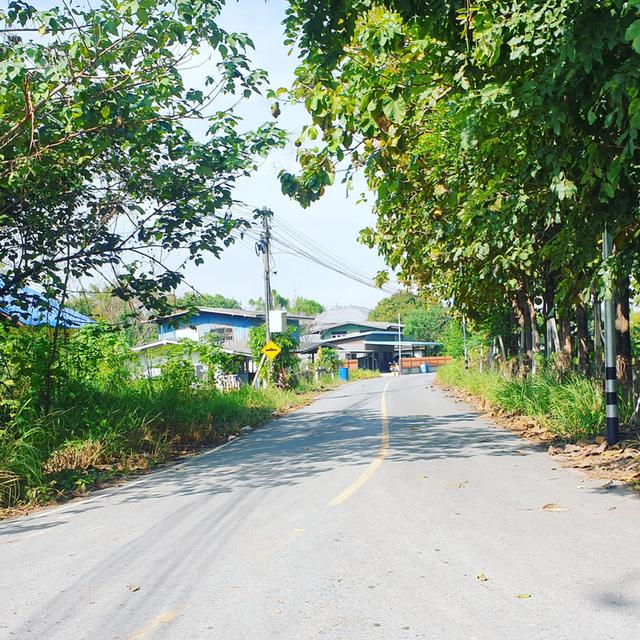 ประกาศขายที่ดินทำเลศักยภาพแปลงสุดท้าย – ต.ทับกวาง อ.แก่งคอย จ.สระบุรี   13