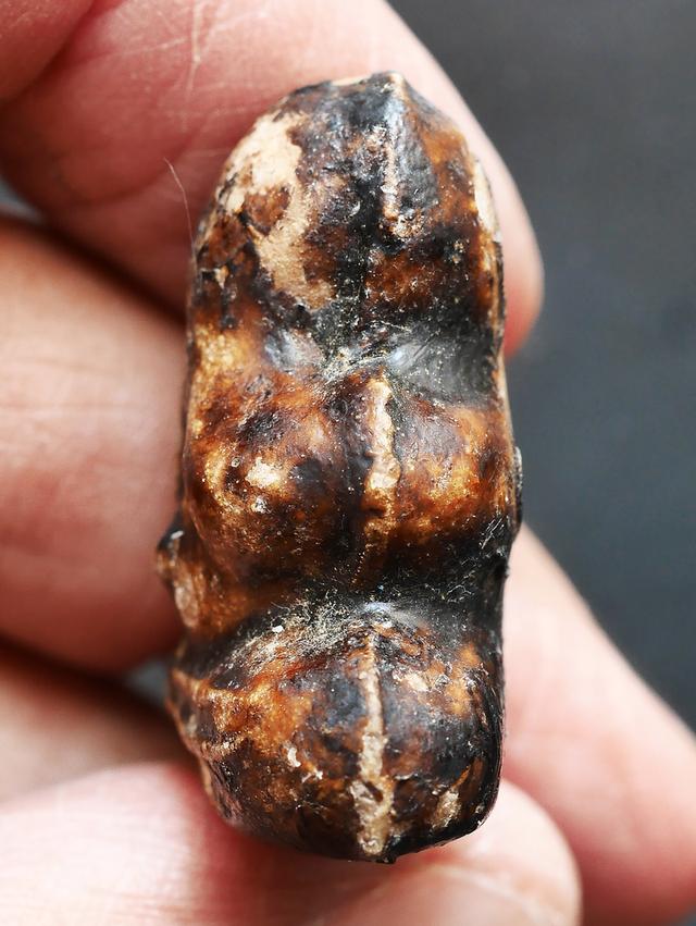 พระปิดตาเนื้อผงคลุกรัก หลวงพ่อทองสุข วัดสะพานสูง พิมพ์สะดือจุ่น...เก่า เดิมๆ 8