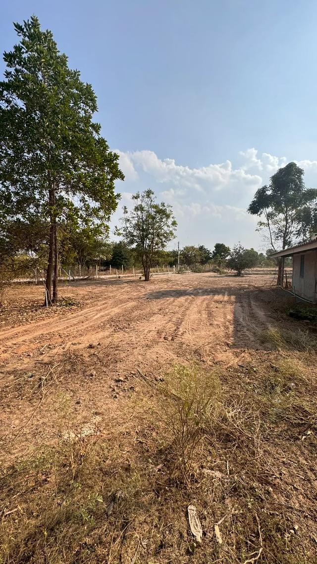 ที่ดินพร้อมบ้านพัก ขนาด 5 ไร่ 4