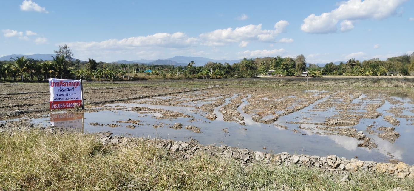 ขายที่ดินถูกหลังตลาดแม่มาลัย 4