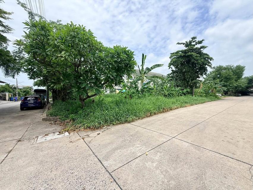 ขายด่วนที่ดินใกล้รพ.สินแพทย์ เทพารักษ์ 199 ตรว ติดถนนคอนกรีต 2 ด้าน แปลงมุม ซ.สินทวี เมืองสมุทรปราการ สนใจติดต่อ 095-879-4465 14