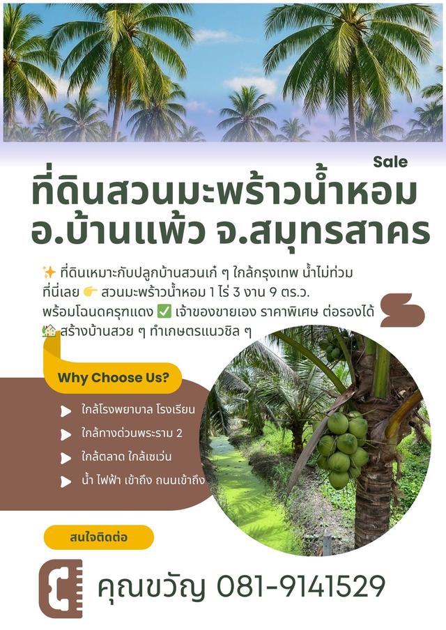 ขายที่ดินสวนมะพร้าวน้ำหอม อ.บ้านแพ้ว สมุทรสาคร 1