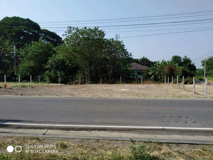 ที่ดิน 1