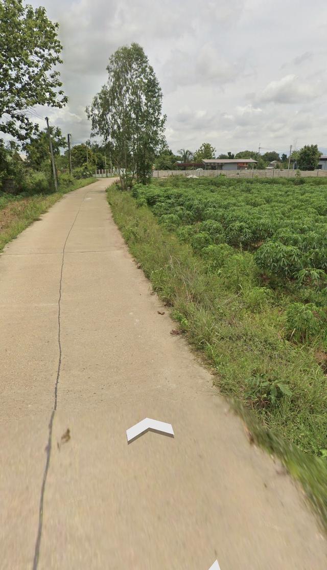 ที่ดิน ต.พรานกระต่าย อ.พรานกระต่าย จ.กำแพงเพชร 1