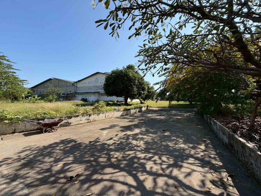 ขาย โรงงาน กระทุ่มแบน ซ.วปอ 11 พิเศษ กระทุ่มแบน สมุทรสาคร 7-2-37.9 ตรว เหมาะทำ โรงงาน 4