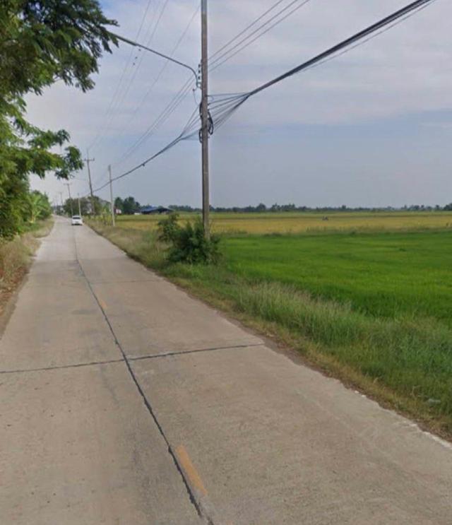 ขายที่นา 100 ไร่ ตำบลหมอนทอง อำเภอบางน้ำเปรี้ยว จังหวัดฉะเชิงเทรา 4