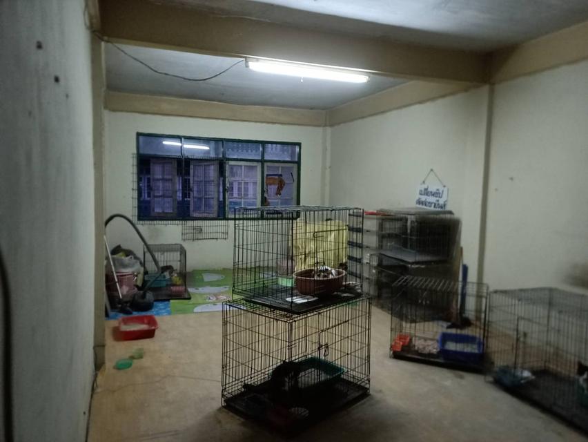 ขายอาคารพาณิชย์ 3.5 ชั้น พุทธมณฑลสาย2 ซอยเพชรเกษม92/1 ใกล้เดอะมอลล์บางแค 7