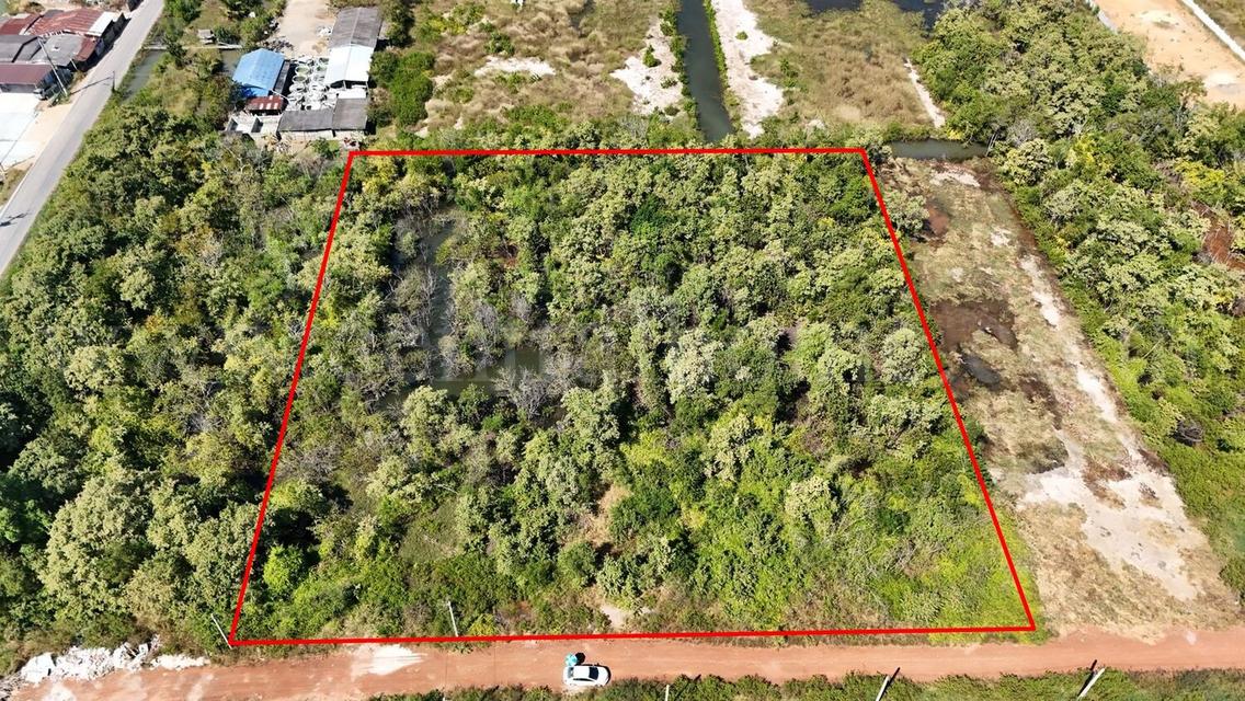 ที่ดินเปล่า 4 ไร่ แบ่งขายได้แปลงละ 1 ไร่ บางปะกง - ฉะเชิงเทรา ราคาถูก 3