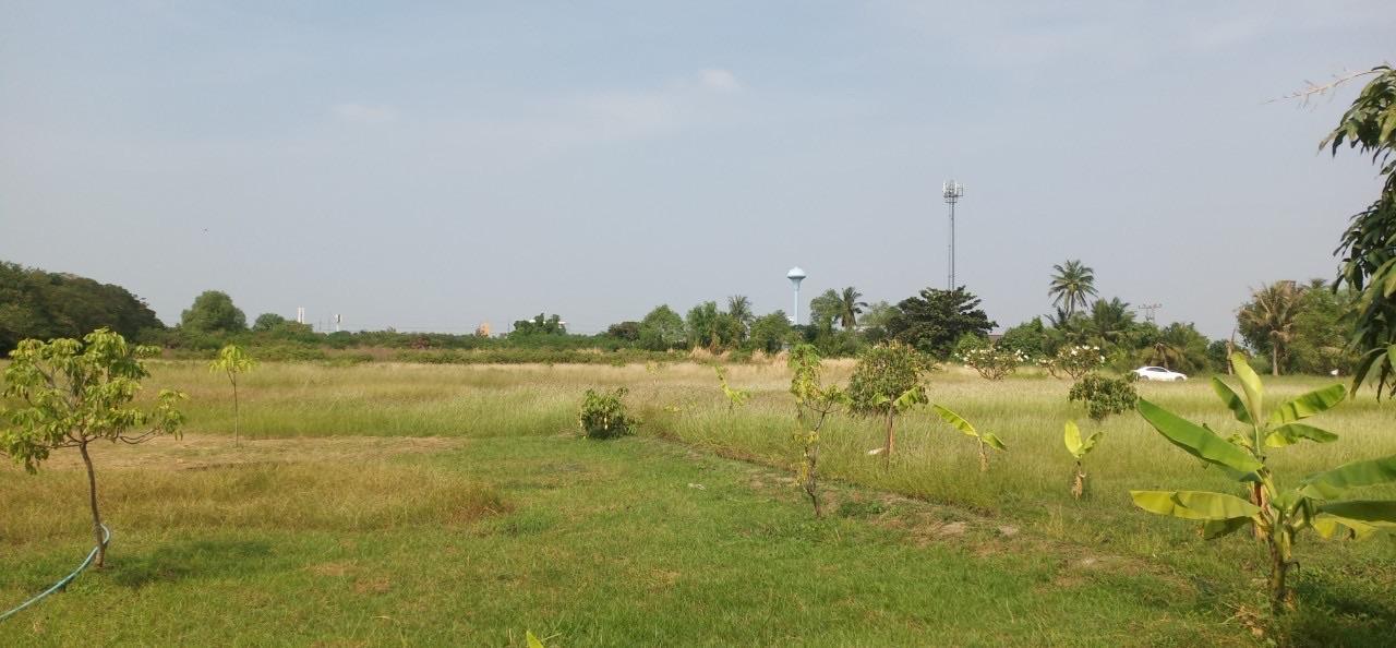 ขายที่ดินเปล่าถมแล้ว ติดถนนพระราม 2 ใกล้ทางด่วนกาญจนาภิเษก-วงแหวนอุตสาหกรรม 14