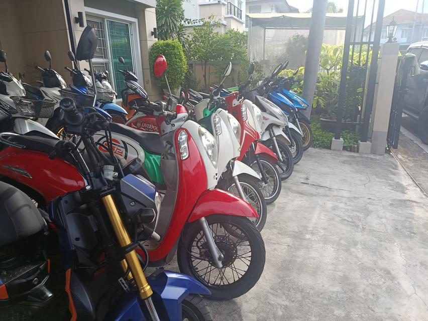 Zoomer -x