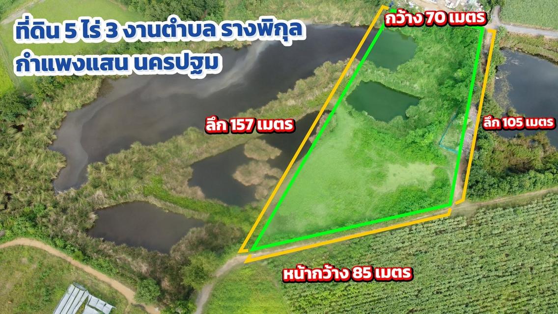 ✨ที่ดินว่างเปล่า 5 ไร่ รางพิกุล กำแพงแสน นครปฐม✨ 2