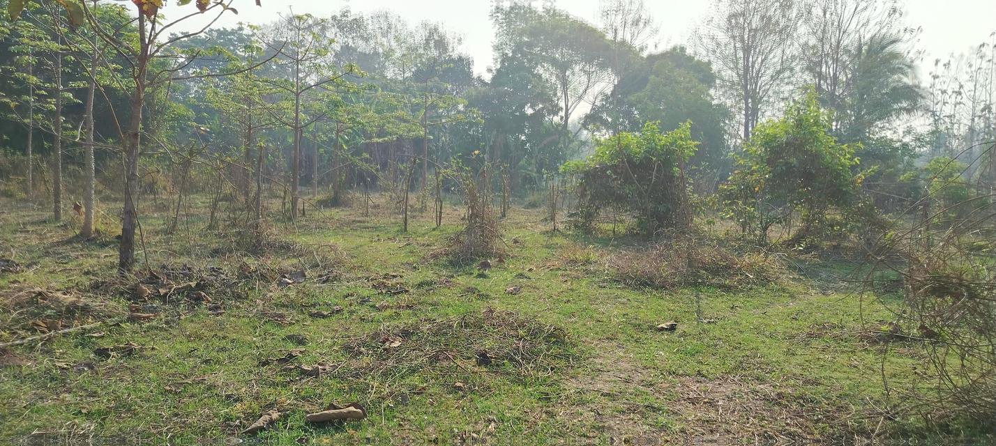 ที่โฉนดวิวเขา ห่าง อบต 1กิโล ที่หน้ากว้างติดถนน80เมตรวิวสวยมากใกล้ชุมชน 6