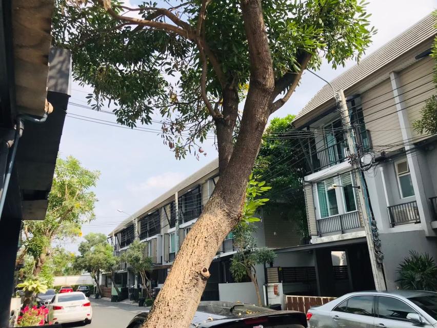 ให้เช่าทาวน์โฮม3ชั้น อารียา เดลี่ เกษตร-นวมินทร์ 11