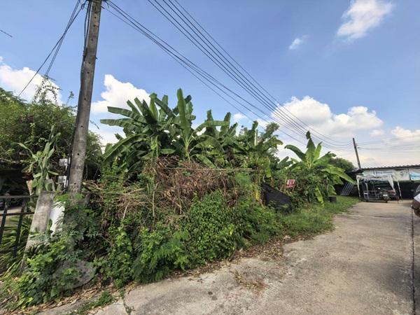 ขายที่ดินเปล่า 70ตรว. คลอง11 หมู่บ้านนริศรา ซ.4 ถูกกว่าราคาประเมิน เจ้าของขายเอง โทร 0969654945 2