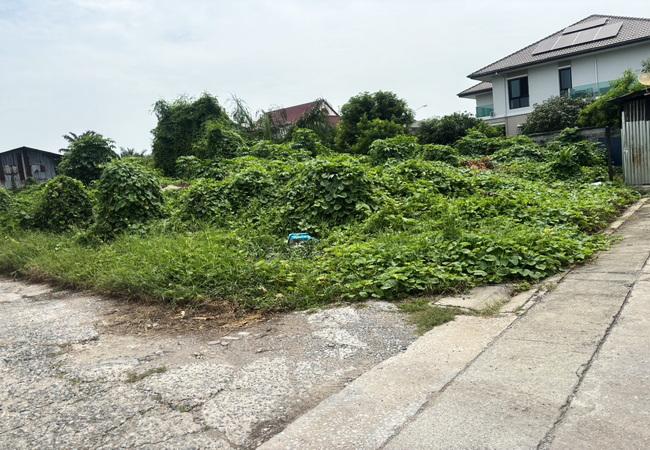 ขายที่ดิน 226 ตร.ว. ถนนพุทธมณฑลสาย 2 ซอย 6 เขตบางแค กรุงเทพมหานคร 4