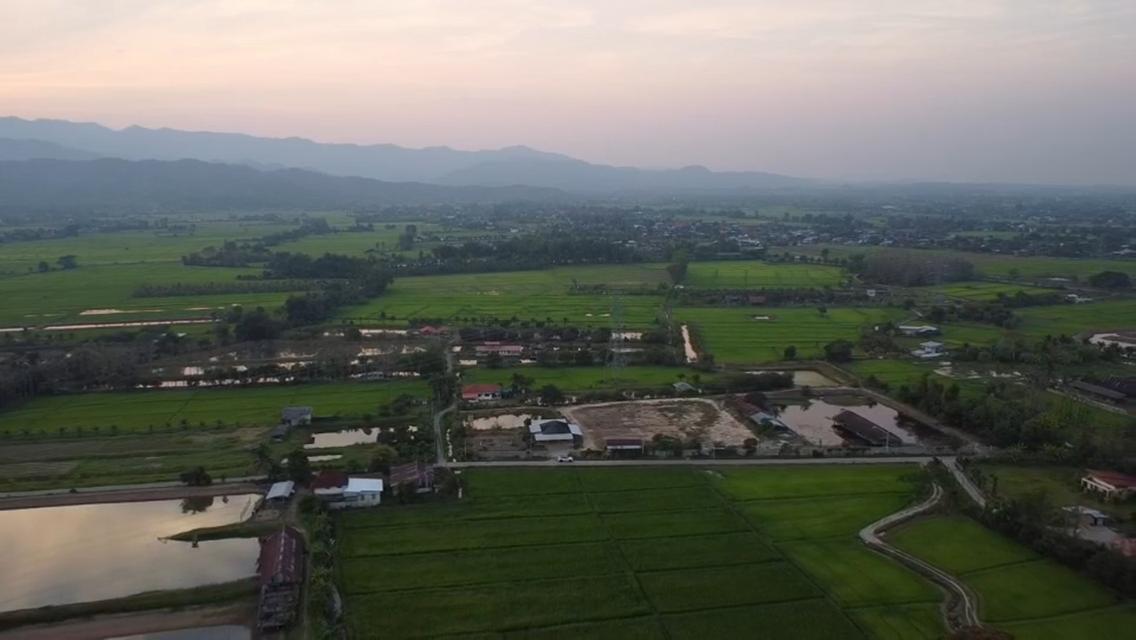 pcr2613 ขายบ้านพร้อมที่ดิน เนื้อที่ 10ไร่ 1งาน 93ตรว. เพียง 8,000,000บาท ต.เมืองพาน อ.พาน จ.เชียงราย 5