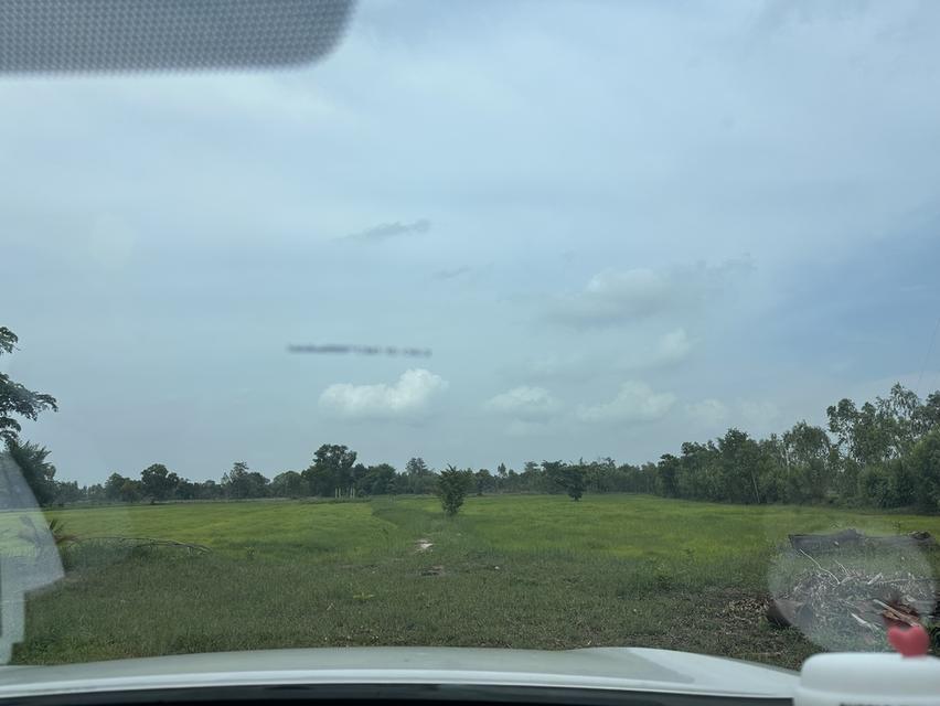 ขายที่ดินปิดหนี้ 9 ไร่  7