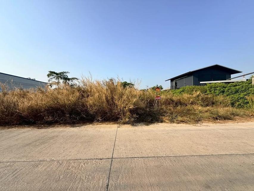 ขายด่วน!! ที่ดิน 200 ตารางวา) ( ถนน 340 ชอยปิ่นทองแองแลนด์ ไทรน้อย นนทบุรี 5