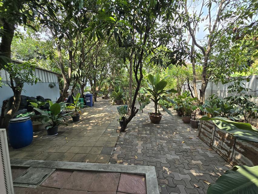 มีเงินซื้อเลยขายบ้านมือสอง 14