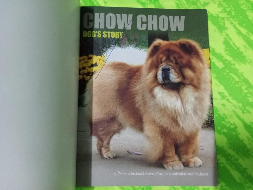 หนังสือคู่มือการเลี้ยง เชาเชา 8