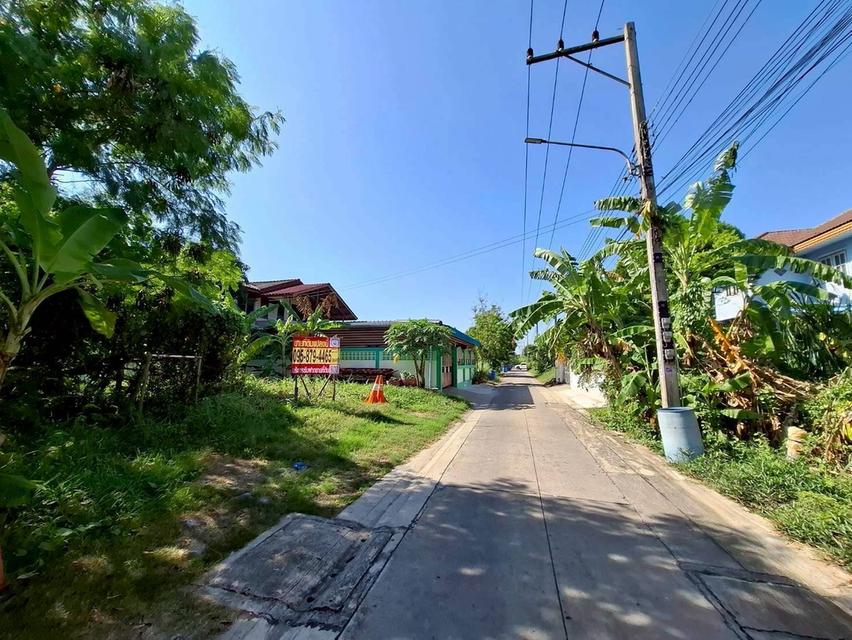 Vายถูกที่ดินซอยตองเปอะ 75 ตารางวา  ติดถนนน 2 ด้าน ถมแล้ว เทศบาล 3/2 อ.สามโคก จ.ปทุมธานี 9