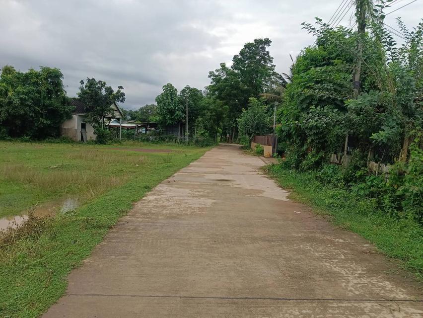 ขายที่ดินเมืองเก่า 4 ไร่ ติดถนนคอนกรีตซอยบ้านโนนบาก ใกล้แยกสามทหาร-2กม. อ.กบินทร์บุรี ปราจีนบุรี 2